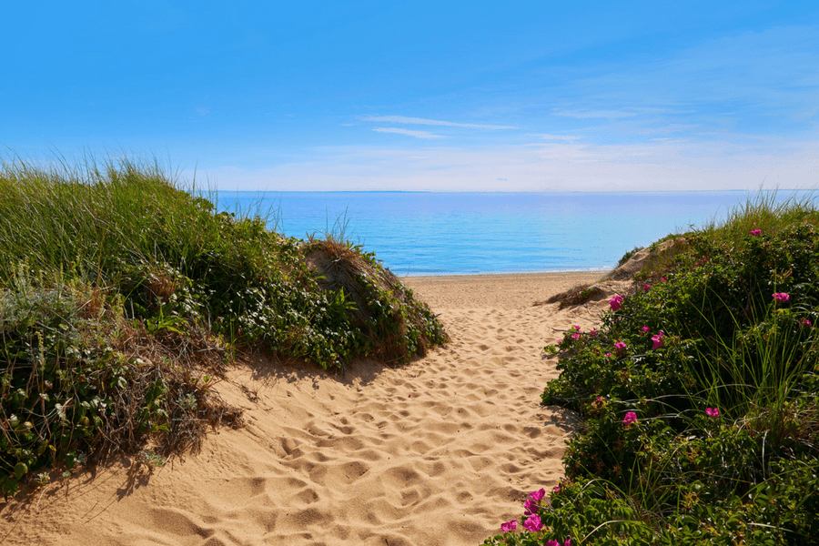 Best Babymoon Beach Destinations Best Babymoon Beach Destinations