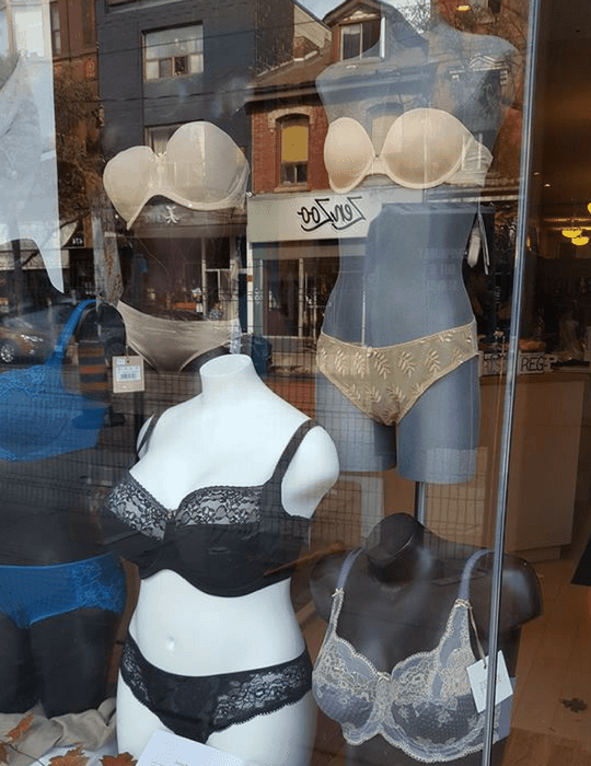 Known as one of Canada's more upscale lingerie stores, La Vie En Rose carries beautifully-made underwear from silk and lace bustiers to naughty nighties and tasteful garter belts.